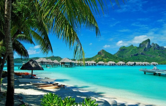 The beauty of nature in Bora Bora