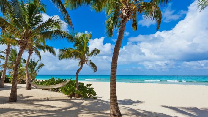 Relaxing nature on the shores of St. John Island