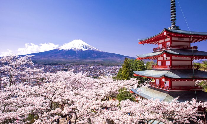 Beautiful Japan in April