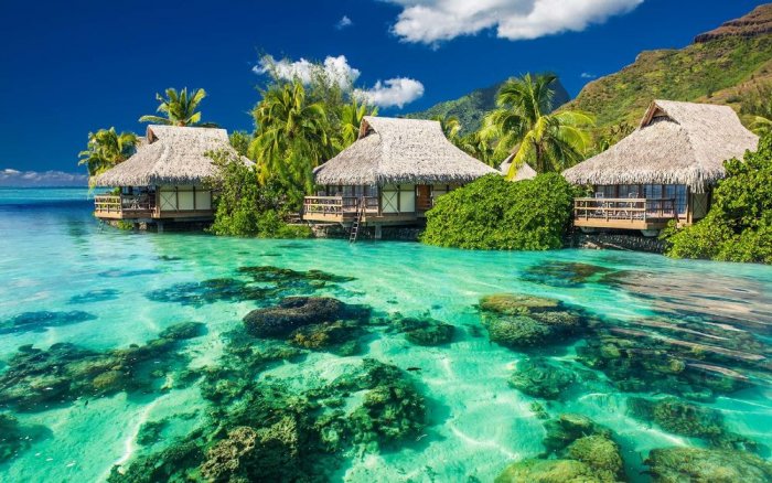 Pure water and upscale resorts in Tahiti