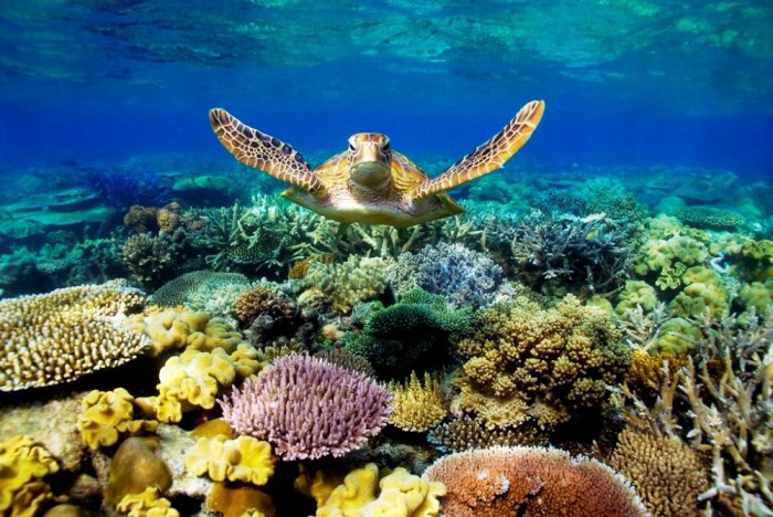 Australian Great Barrier Reef