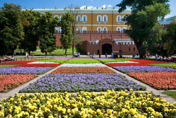 Magic of colorful flowers in the Alexandrovsky Gardens