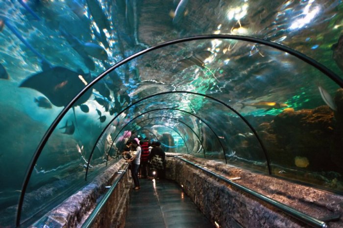 Aquarium tunnel in Ancol Dreamland Park