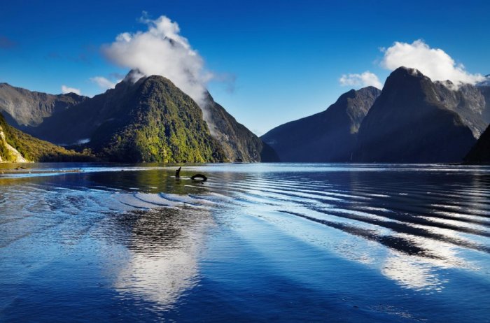 The picturesque nature of New Zealand