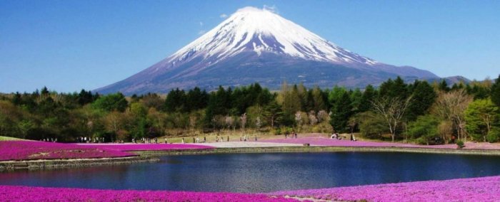 A trip to Mount Fuji