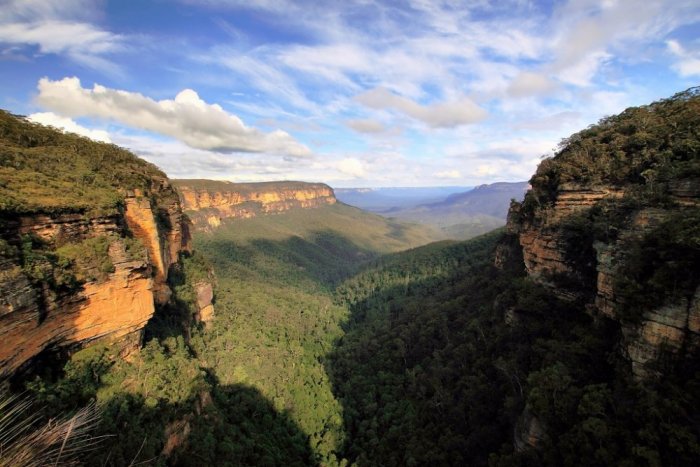 Scenic nature in blue mountains Australia