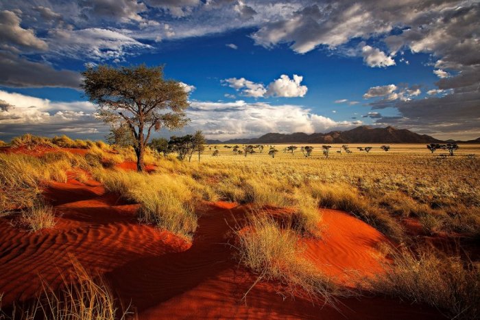 Namibia is another great tourist destination on the African continent