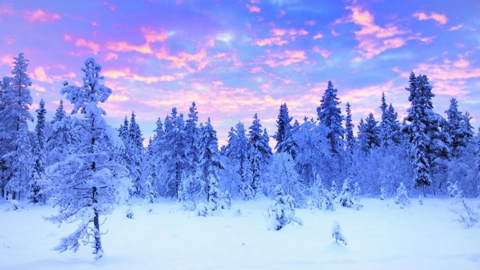 If you are looking for a wild adventure in the heart of Sweden, you will not find a better place in Lapland
