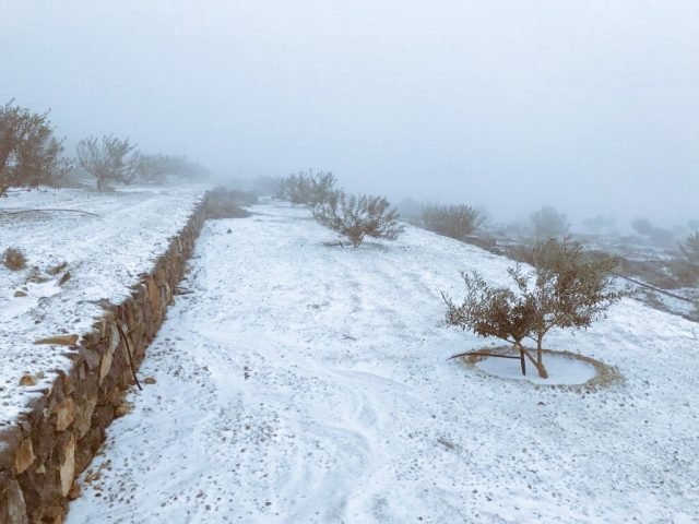 Snow on Mount Jess