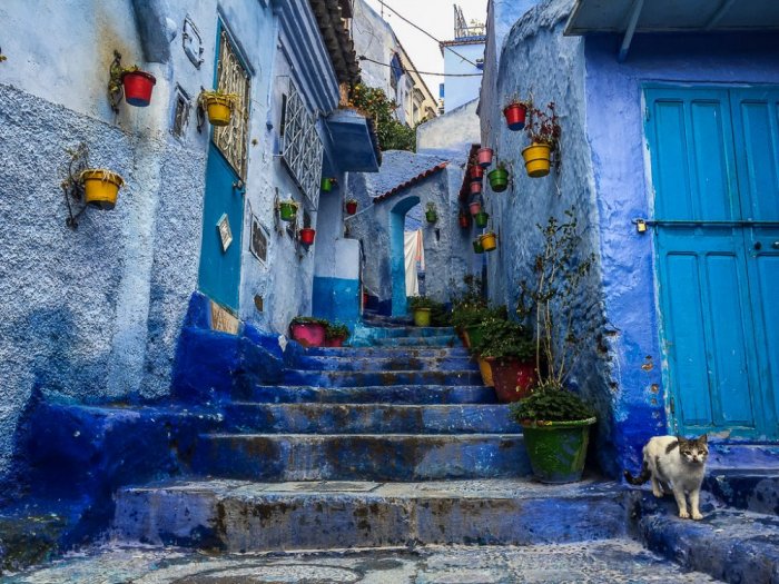 The Moroccan town of Chefchaouen is known as one of the most beautiful and popular tourist destinations in Morocco