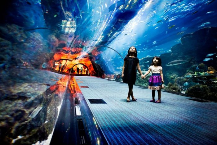 Dubai Aquarium Park.