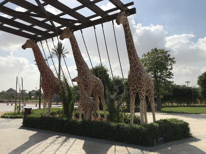 Aesthetic figures in Dubai Safari