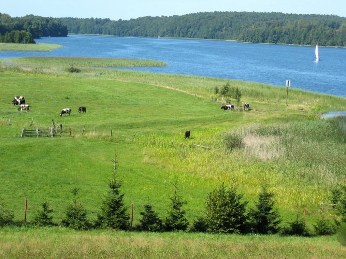 Masurian Lakes are a favorite destination for nature lovers and cyclists