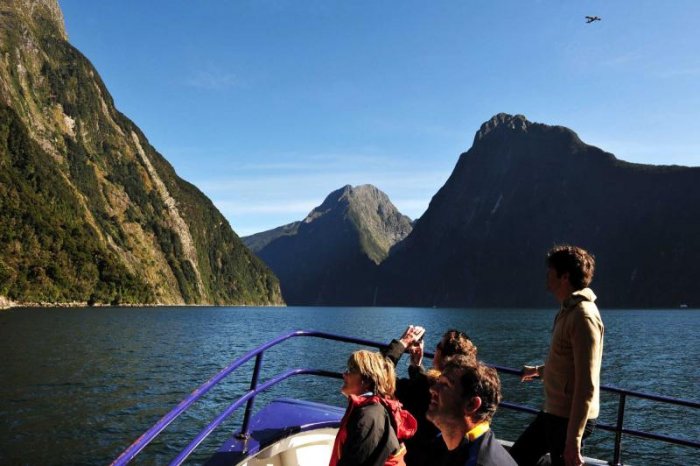 Distinguished family activities in New Zealand