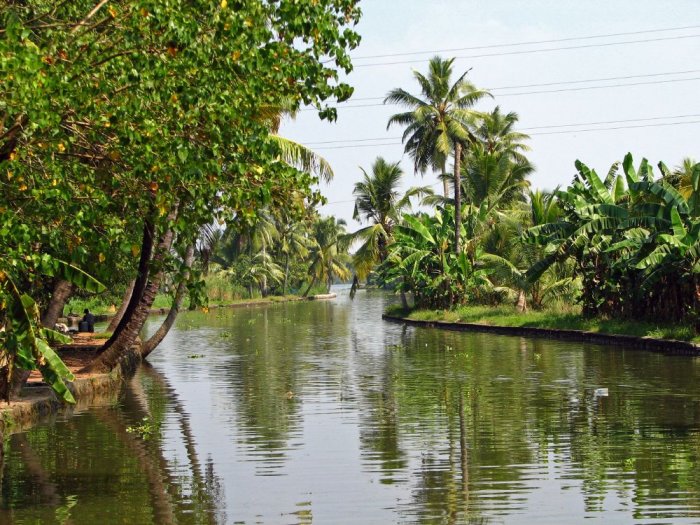 Kerala Nature Reserve