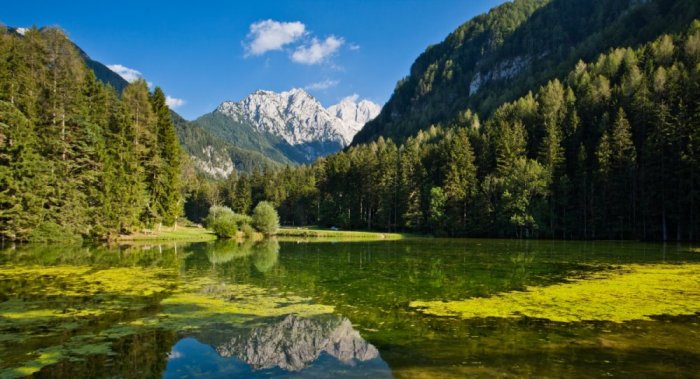 Charming nature in Slovenia