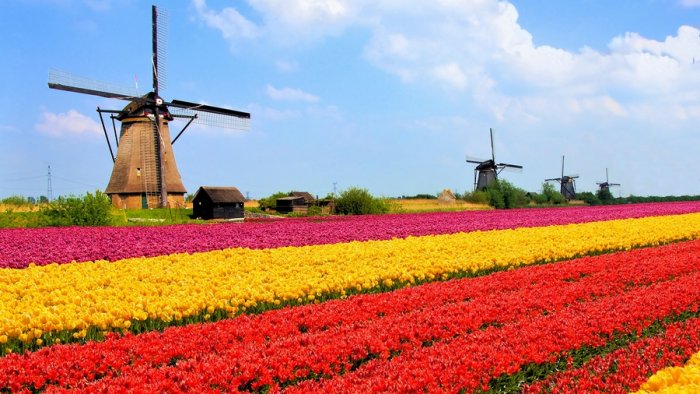 If you visit the Netherlands you will be really surprised by the family tourist holidays