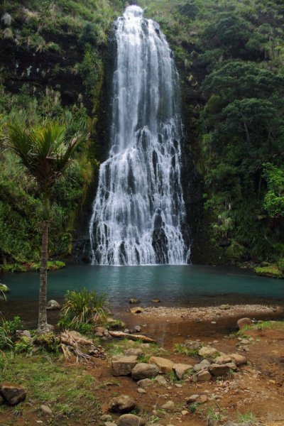 Waterfalls in Auckland