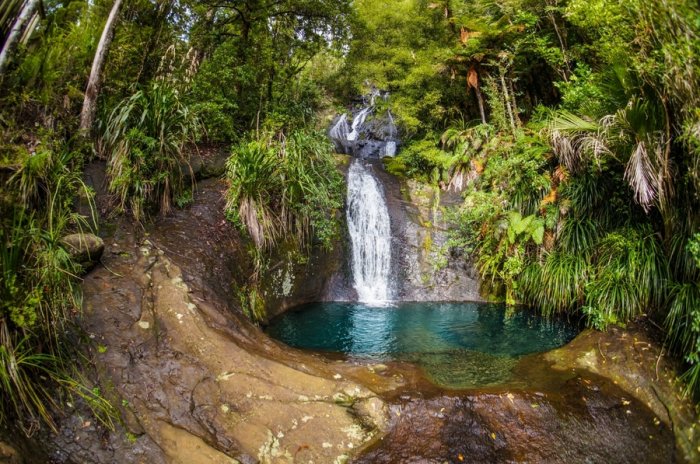 The beauty of nature in Auckland