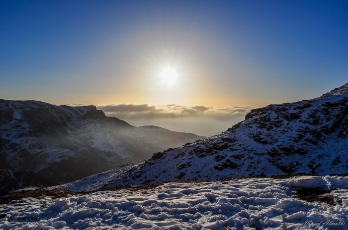 Mount almond by photographer Majid al-Maliki 