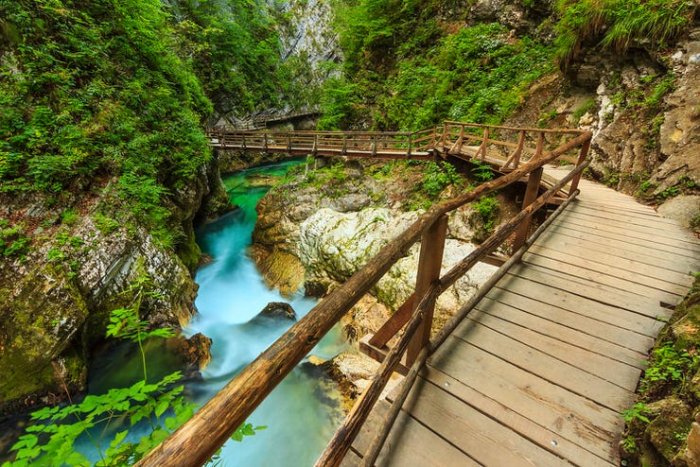 Bled National Park