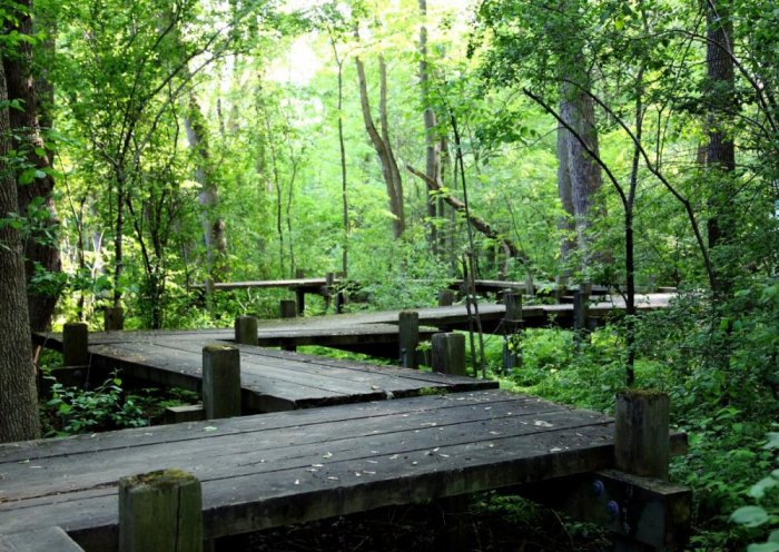 Bois-de-Liesse Nature Reserve