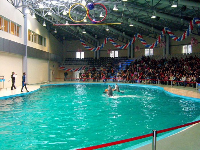 Istanbul Dolphinarium is the largest exhibition and center for dolphins in Europe