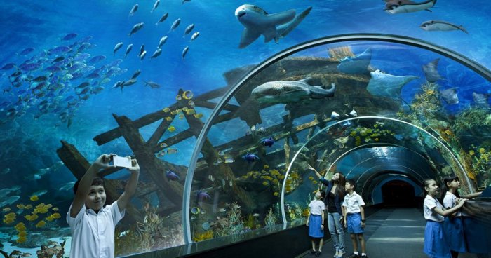 Aquarium Marine Life Park