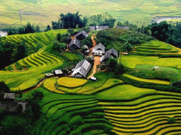 The magnificent terraces of tea in Vietnam