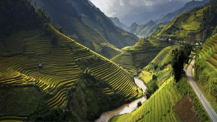 Wonderful nature in Vietnam