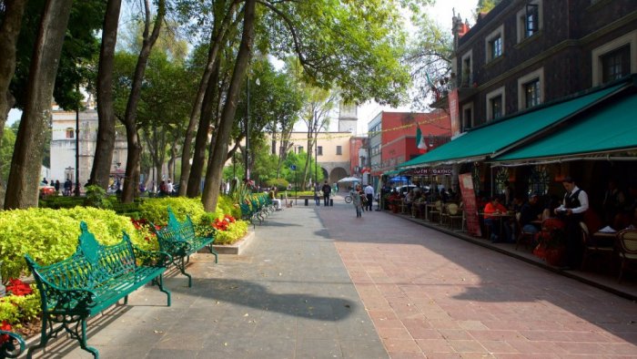1581275312 397 Best places to explore in Mexico City - Best places to explore in Mexico City