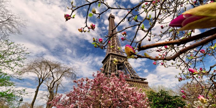 Wonderful Paris in the Spring