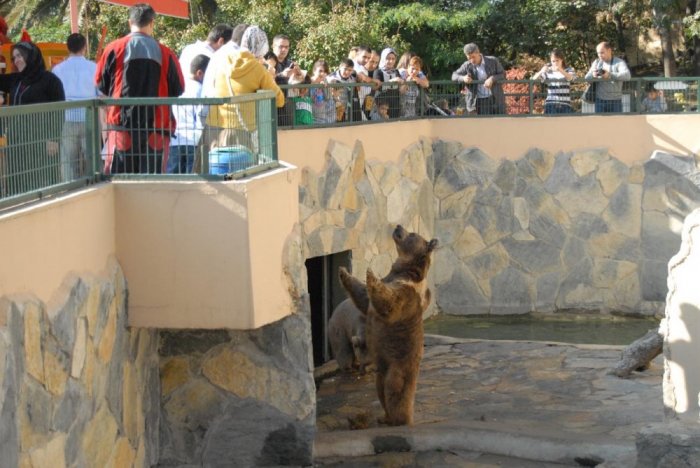 Bosphorus Zoo 