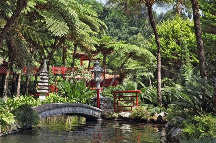 The splendor of the gardens in Funchal