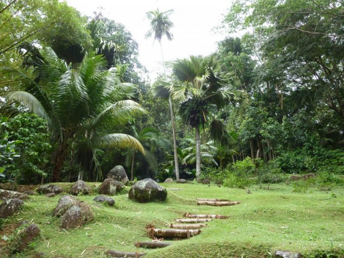 Botanical gardens on Mahe Island
