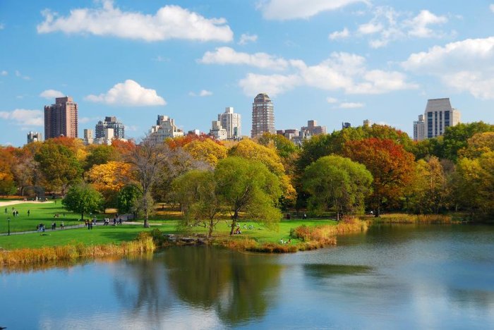 A pleasant atmosphere in Central Park