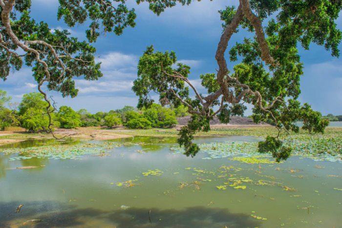 8- Arugam Bay, Sri Lanka