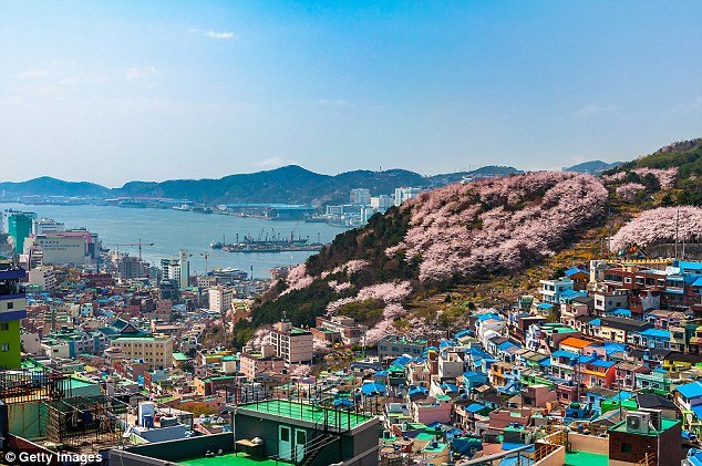 1- Busan, South Korea