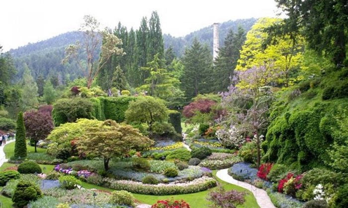 The charm and beauty of the botanical garden