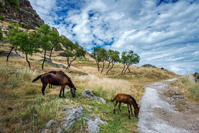 Picturesque nature in Macedonia