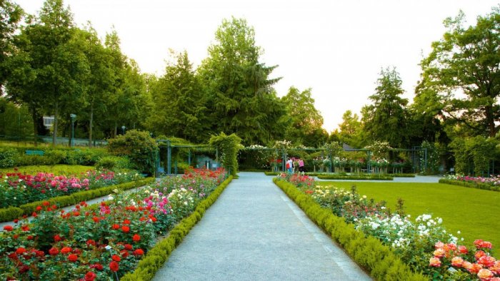     The most beautiful places for honeymoon rose garden in the Swiss city of Bern