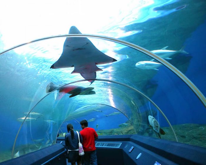 Langkawi Aquarium