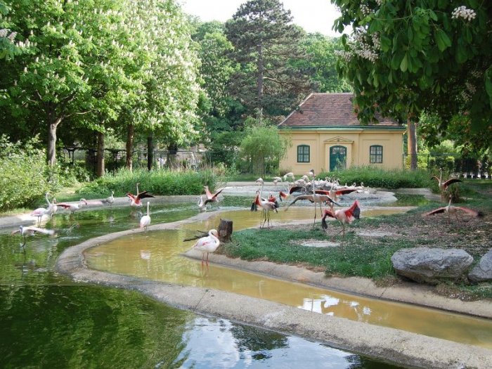 Vienna Zoo