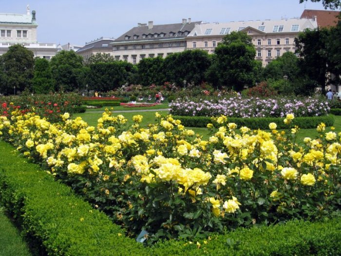 Vienna Botanical Garden