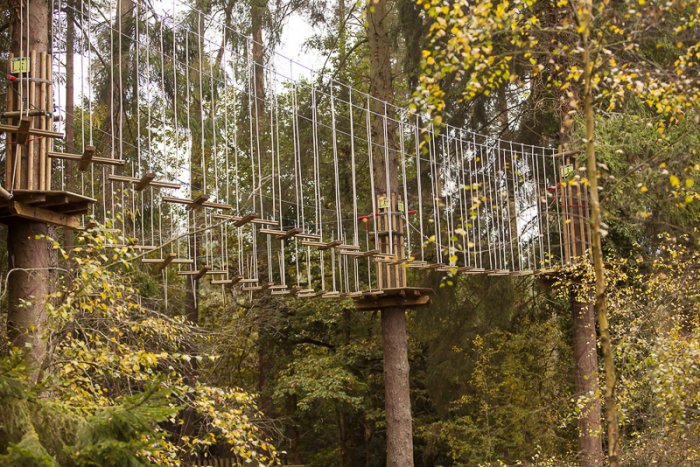 Activities of suspension bridges in the park 