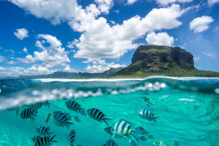 Pleasure diving in Mauritius