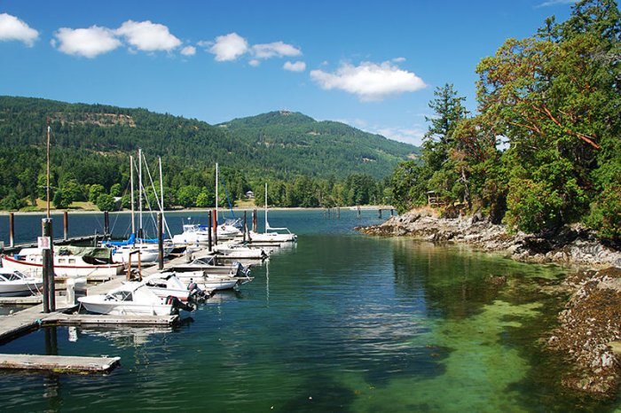 Salt Spring Island is a popular tourist destination for those who want to get away from the hustle and bustle of the city