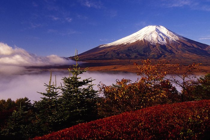 From Mount Fuji