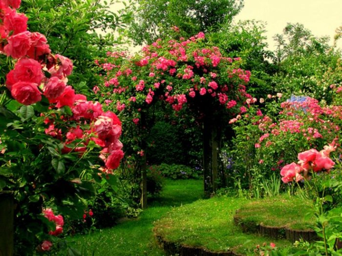Volksgarte Flower Garden