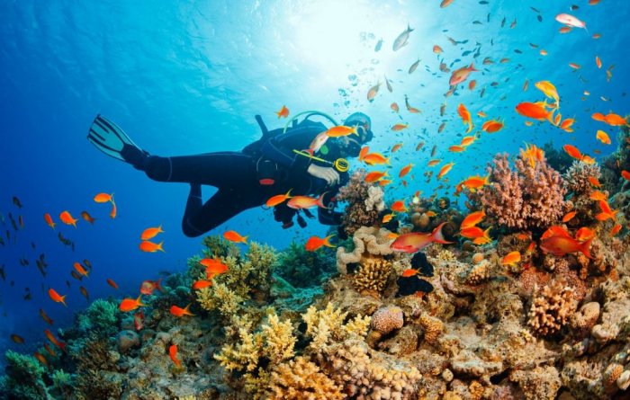 Places of diving in the Philippines, a country of magic and beauty